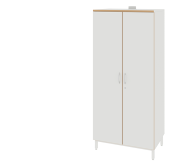Шкаф для хранения реактивов ЛАБ-800 ШР