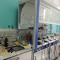 Институт органической химии имени Н. Д. Зелинского РАН